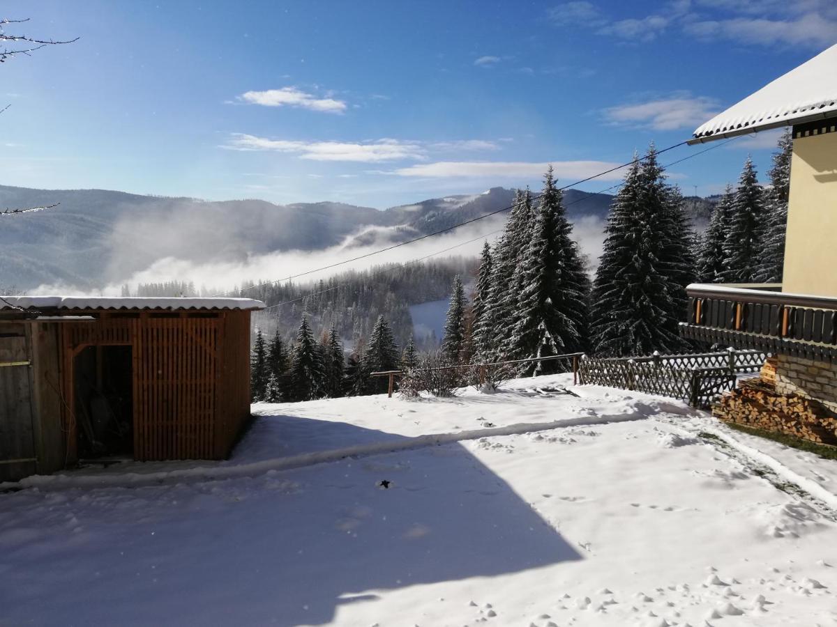Villa Ferienhaus Stubalpenblick à Salla Extérieur photo