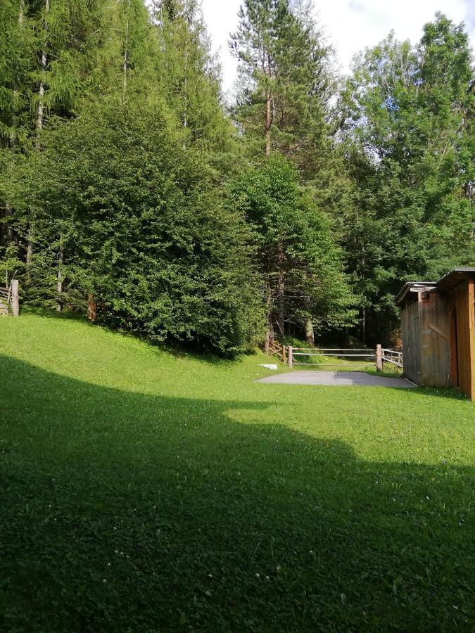 Villa Ferienhaus Stubalpenblick à Salla Extérieur photo